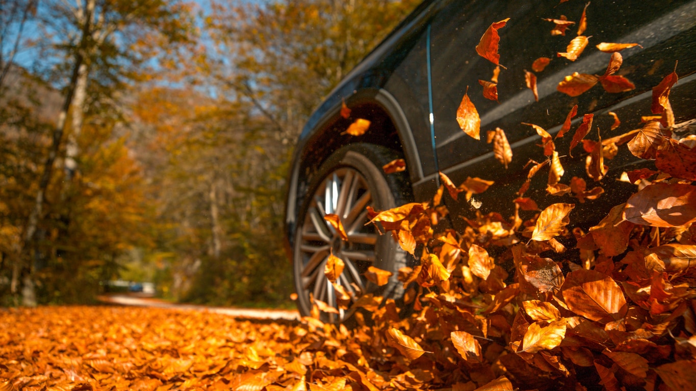 car driving through autumn leaves