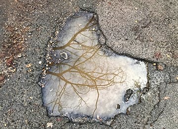 Water-filled pothole on asphalt street, with tree reflected in water